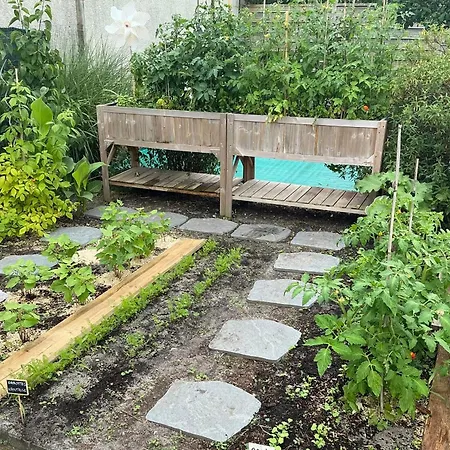 House With Garden In A Quiet Area Of